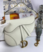 Dior SADDLE Bag white